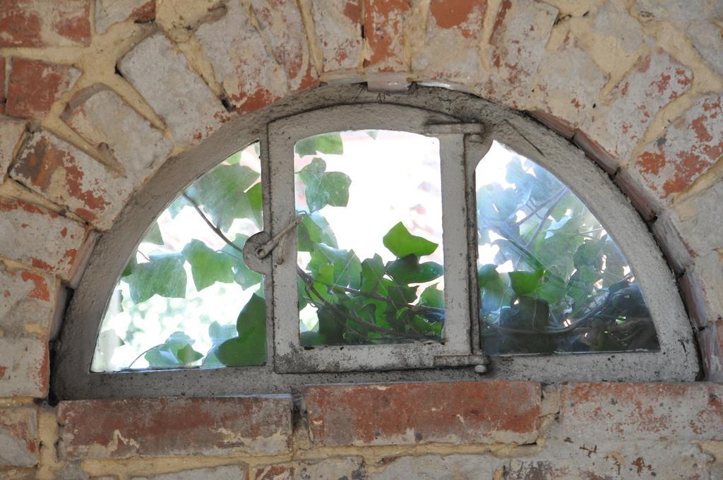 Göcke's Haus und Garten - Remise Wettringen  Zimmer foto